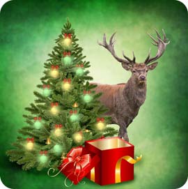 Title Here Title Here